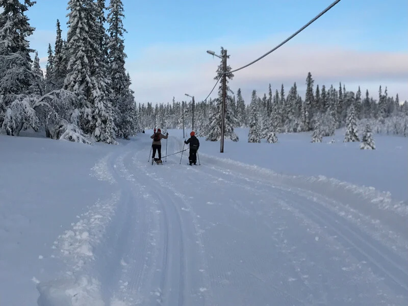 Längd