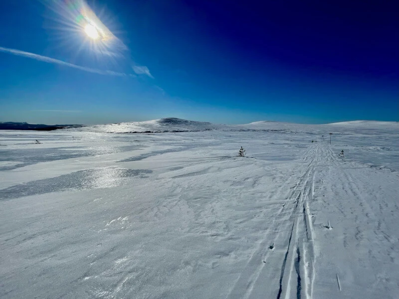 Vinter