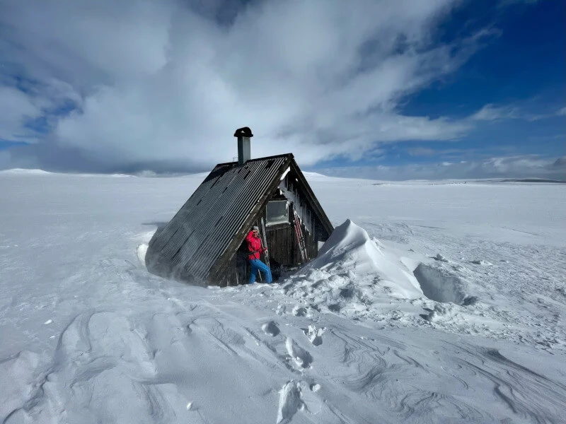 Vinter